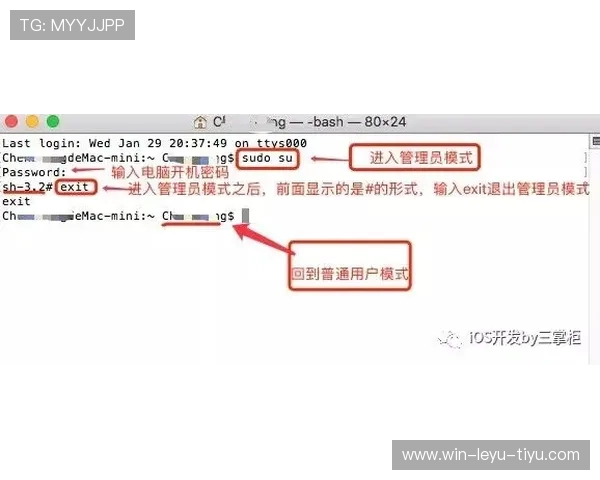 换人程序规则拆解：什么时候必须停球换人才合规？
